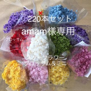 amam様 220本セットスターフラワーブロッサム&ミニ(各種パーツ)