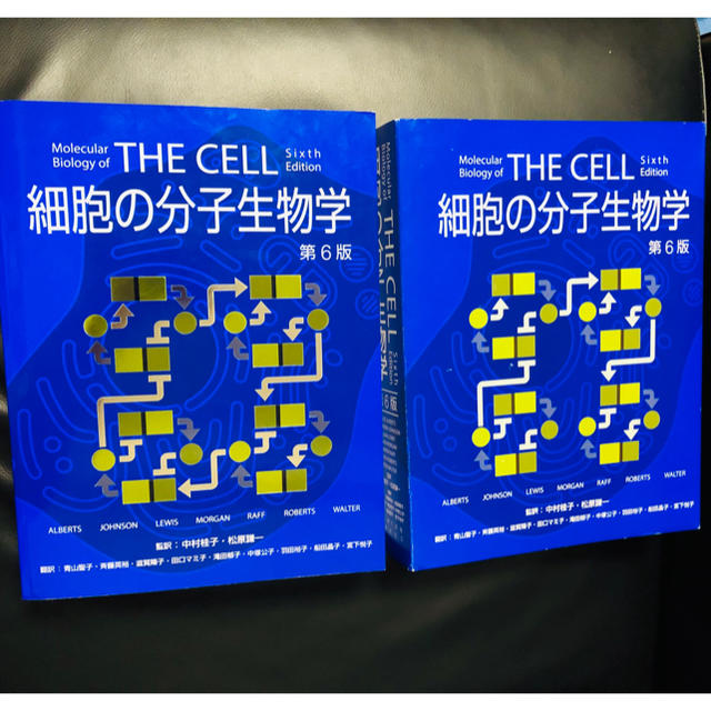 細胞の分子生物学 第6版の通販 by さくら｜ラクマ