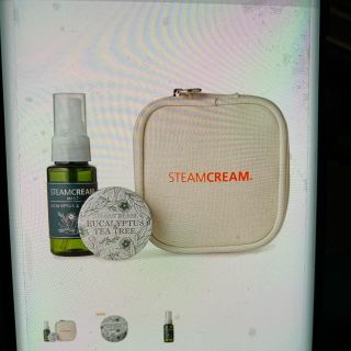 スチームクリーム(STEAM CREAM)のスチームクリーム(その他)