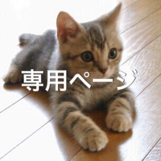 【クリアファイル補強】もんちっち様専用(印刷物)