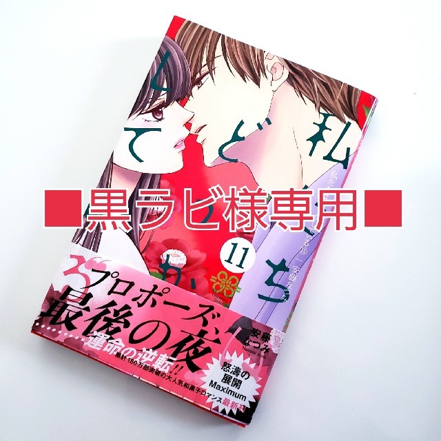 講談社(コウダンシャ)の■黒ラビ様専用■【私たちはどうかしている 11巻/安藤なつみ】 講談社
 エンタメ/ホビーの漫画(少女漫画)の商品写真