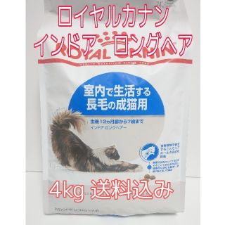 ロイヤルカナン(ROYAL CANIN)のロイヤルカナン　インドアロングヘア　4kg(猫)