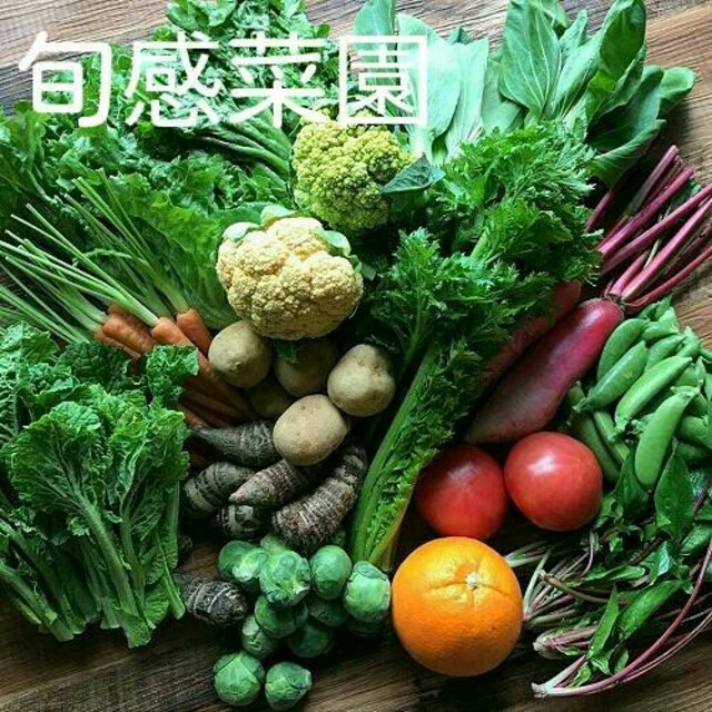 新鮮野菜セット100-⑨ 食品/飲料/酒の食品(野菜)の商品写真