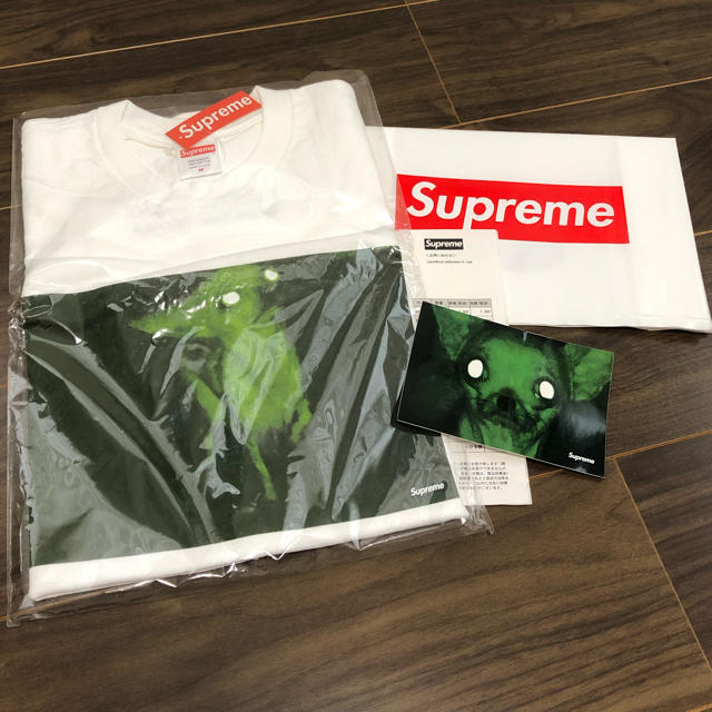 Supreme(シュプリーム)のsupreme シュプリームTシャツ　Chris Cunningham  メンズのトップス(Tシャツ/カットソー(半袖/袖なし))の商品写真