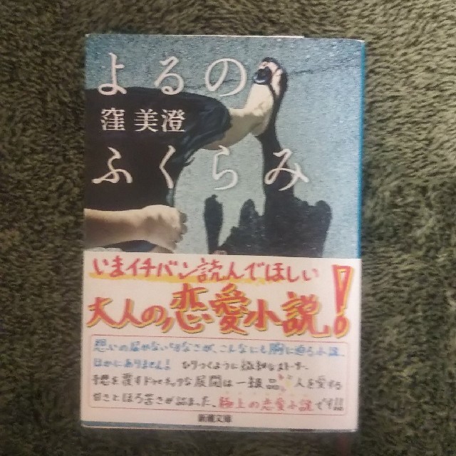 文庫 よるのふくらみ エンタメ/ホビーの本(文学/小説)の商品写真