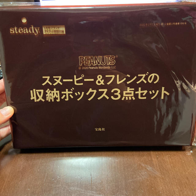 SNOOPY(スヌーピー)のSteady.ステディ  3月号雑誌付録　スヌーピー3点セット インテリア/住まい/日用品のインテリア小物(小物入れ)の商品写真