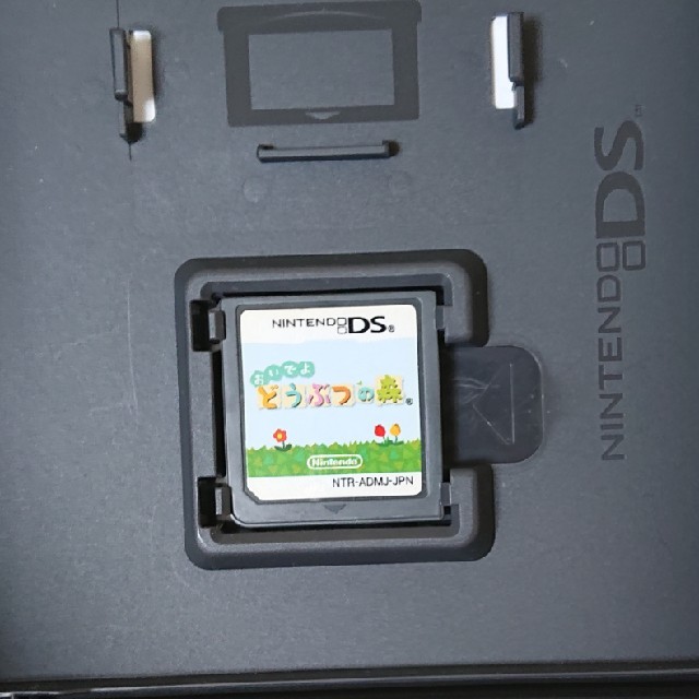 任天堂(ニンテンドウ)のおいでよ どうぶつの森 DS エンタメ/ホビーのゲームソフト/ゲーム機本体(携帯用ゲームソフト)の商品写真