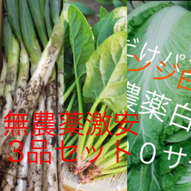 激安3品無農薬野菜セット約１００サイズ入るだけ送料も無料 食品/飲料/酒の食品(野菜)の商品写真