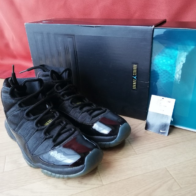 NIKE(ナイキ)のNIKE AJ11 GAMMA BLUE 2013 メンズの靴/シューズ(スニーカー)の商品写真