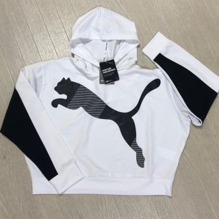 プーマ(PUMA)のPUMA  レディス　パーカー(パーカー)