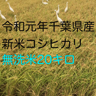 うーニャン様専用コシヒカリ無洗米10キロ×2(米/穀物)