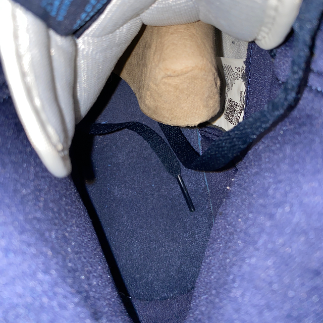 NIKE(ナイキ)のJordan 1 retro high 29cm メンズの靴/シューズ(スニーカー)の商品写真