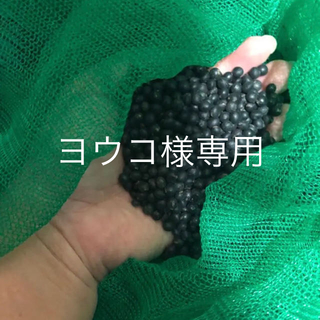 令和元年度　北海道産　黒千石大豆(野菜)