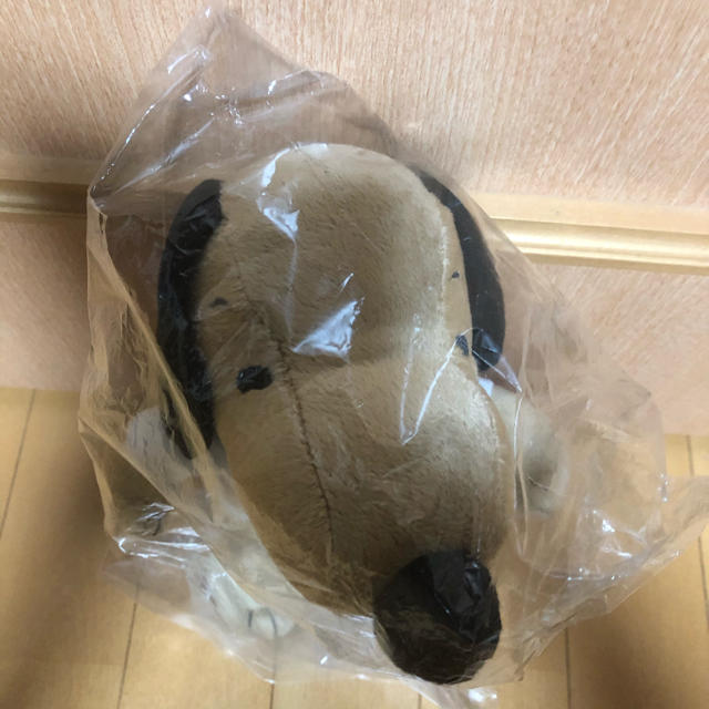 ハワイ　日焼けスヌーピー  エンタメ/ホビーのおもちゃ/ぬいぐるみ(キャラクターグッズ)の商品写真