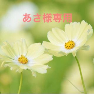 あさ様専用(カラージェル)
