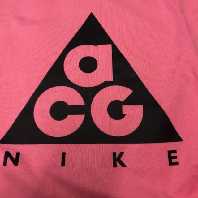 NIKE(ナイキ)のNIKEACG ロングスリーブ Tシャツ ピンク ロンTS メンズのトップス(Tシャツ/カットソー(七分/長袖))の商品写真