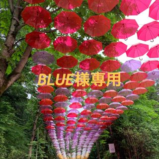 BLUE様専用　薔薇に降る雨　愛と革命の詩(舞台/ミュージカル)