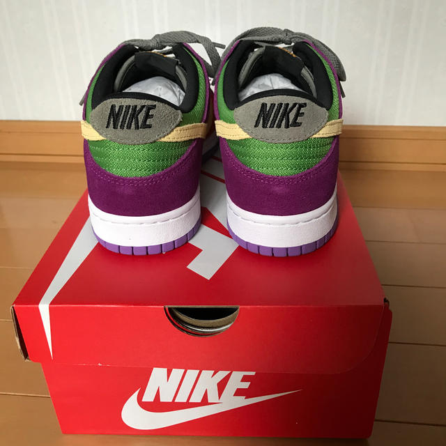 Nike DUNK LOW SP バイオテック