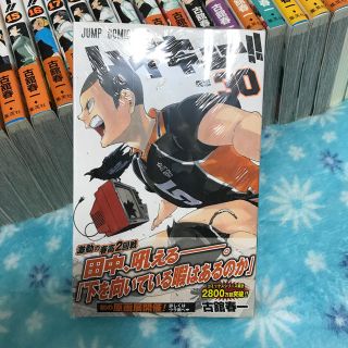 ハイキュー！！　漫画1-30 小説1-3 ガイドブック付エンタメ/ホビー