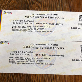 ２月２２日ベガルタ仙台VS名古屋グランパス自由席南２枚セット(サッカー)
