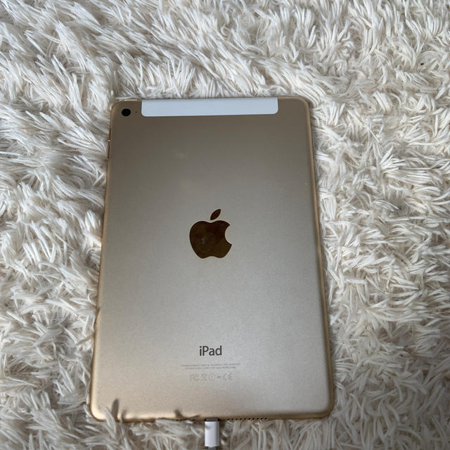 iPad mini4 124GB 1