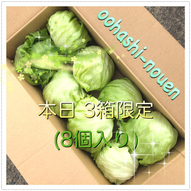 えいたん様専用☆ 食品/飲料/酒の食品(野菜)の商品写真