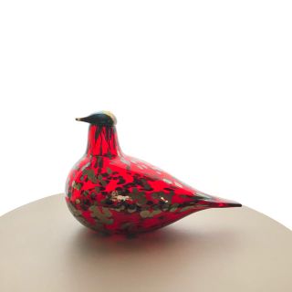 イッタラ(iittala)のRuby Bird レッド Oiva Toikka バード 廃盤カラー 箱なし(置物)