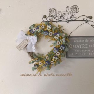 mimosa & viola natural wreath(ドライフラワー)