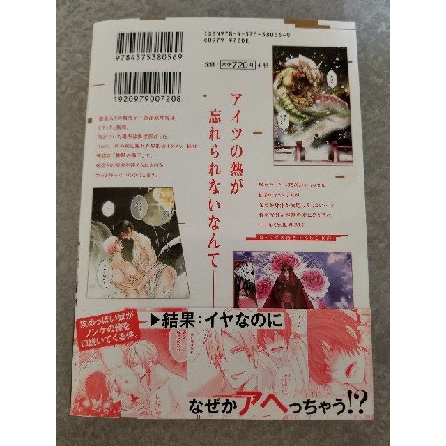 【値下げしました】BL漫画 藤咲もえ『腐男子召喚 異世界で神獣にハメられました』 エンタメ/ホビーの漫画(ボーイズラブ(BL))の商品写真