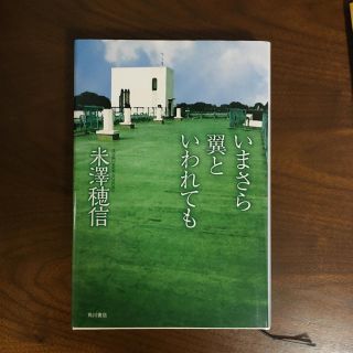 いまさら翼といわれても(文学/小説)