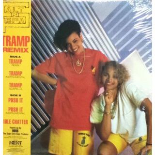 【廃盤12inch】SALT-N-PEPA / TRAMP REMIX(その他)