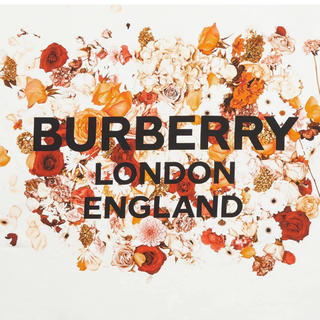 バーバリー(BURBERRY)のburberry 19aw 新作 スカーフ リカルド(バンダナ/スカーフ)