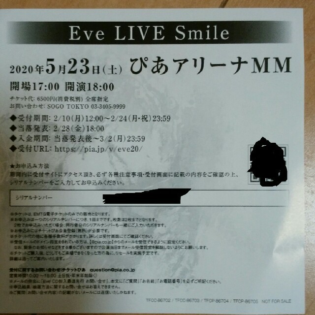 Eve  ライブ　シリアルナンバー チケットの音楽(音楽フェス)の商品写真