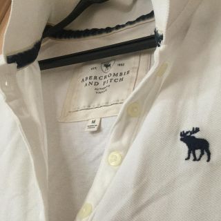 アバクロンビーアンドフィッチ(Abercrombie&Fitch)のアバクロンビー&フィッチ 7部袖❓ポロシャツ(ポロシャツ)