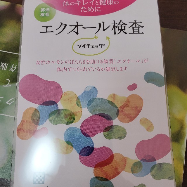 大塚製薬(オオツカセイヤク)のエクオール検査　ソイチェック コスメ/美容のボディケア(その他)の商品写真