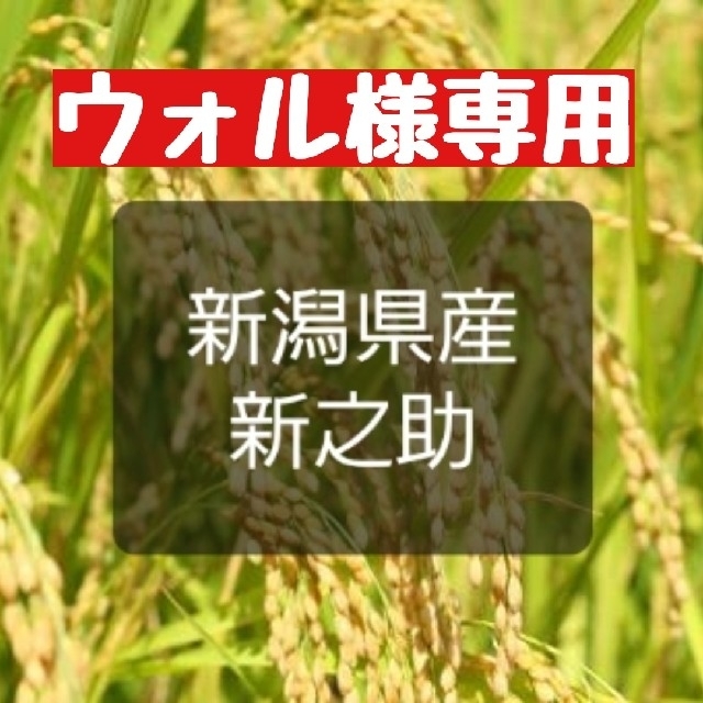 産直 新潟県産新之助 白米9㎏(令和元年産)