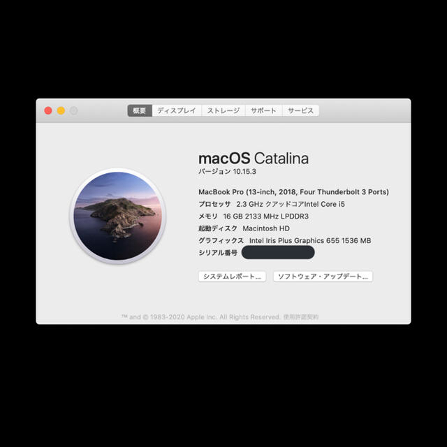 Apple - 【Route66⠀】MacBook Pro 2018 13インチ 16G