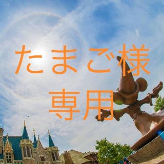 ディズニー(Disney)のたまご様専用(その他)