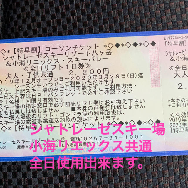 ぽんさま専用　シャトレーゼスキー場 小海リエックス 共通 全日リフト券 チケットの施設利用券(スキー場)の商品写真