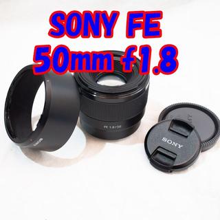 ソニー(SONY)のSONY FE 50mm f1.8 SEL50F18F フルサイズ(レンズ(単焦点))