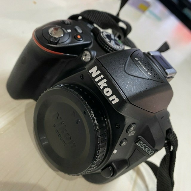 Nikon D5300 1