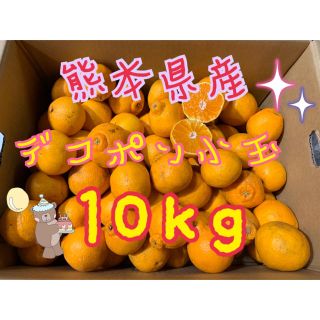 熊本県産デコポン小玉10kg(フルーツ)