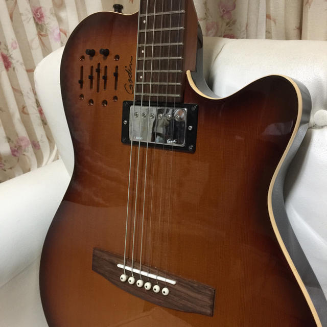 GODIN A6 ULTRA 楽器のギター(エレキギター)の商品写真