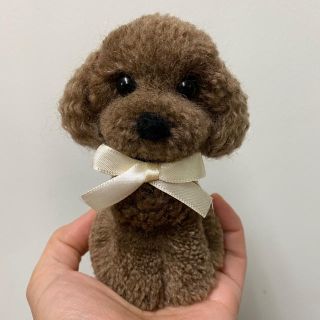 動物ぽんぽん　トイプードル　マロン（栗色）(その他)