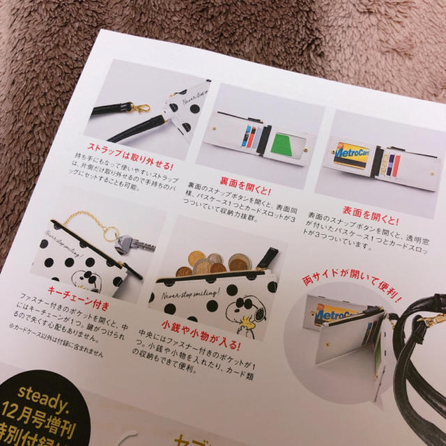 SNOOPY(スヌーピー)のSteady 2019年 12月号 スヌーピー 多機能パスケース レディースのファッション小物(パスケース/IDカードホルダー)の商品写真