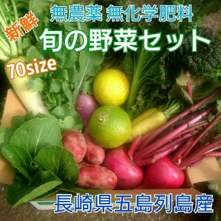 無農薬新鮮野菜セット(70サイズ) 〈ラインナップご確認をください〉 五島列島産(野菜)