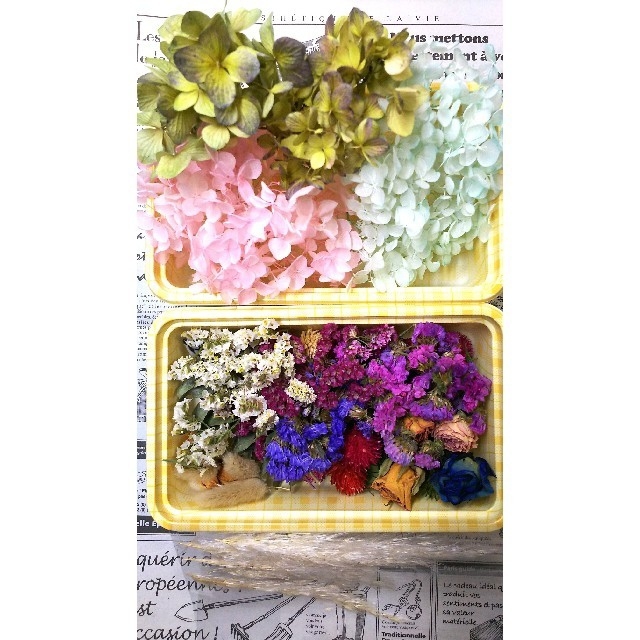 新作入荷!!】 『SOLD』ʚïɞ*¨*♬♡ ドライフラワー ❁ ポロポロ花材 ...