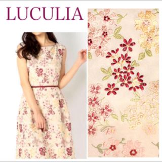 トッカ(TOCCA)のTOCCA❀*人気デザインのLUCULIA♡定6.5万円(ひざ丈ワンピース)