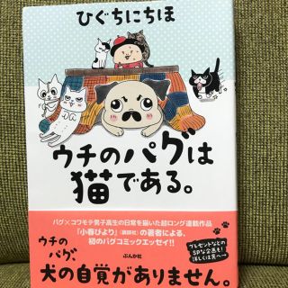 ウチのパグは猫である。(その他)