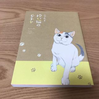 拾い猫のモチャ(その他)